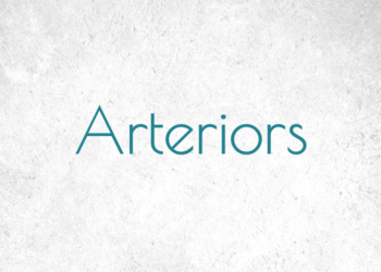 Arteriors Lighting and Accessories for Interior Design Trade - DesignTradeSolutionsLLC.com